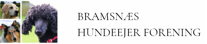 Bramsnæs Hundeejer Forening logo